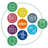 TEN.efzn.NH3