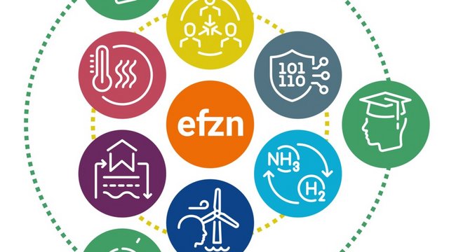 TEN.efzn.NH3